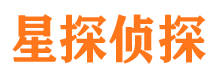 宁明侦探公司